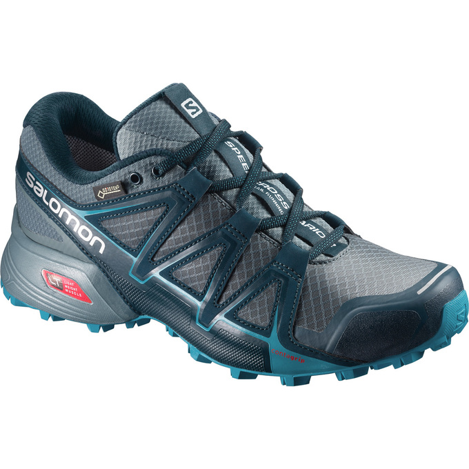 Chaussures De Trail Running Salomon Femme Argent - Salomon SPEEDCROSS VARIO 2 GTX® W - France (6342-